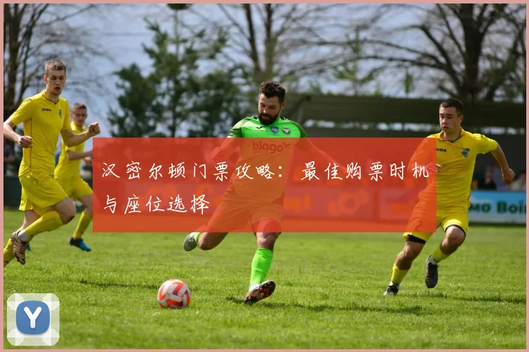 汉密尔顿门票攻略:最佳购票时机与座位选择
