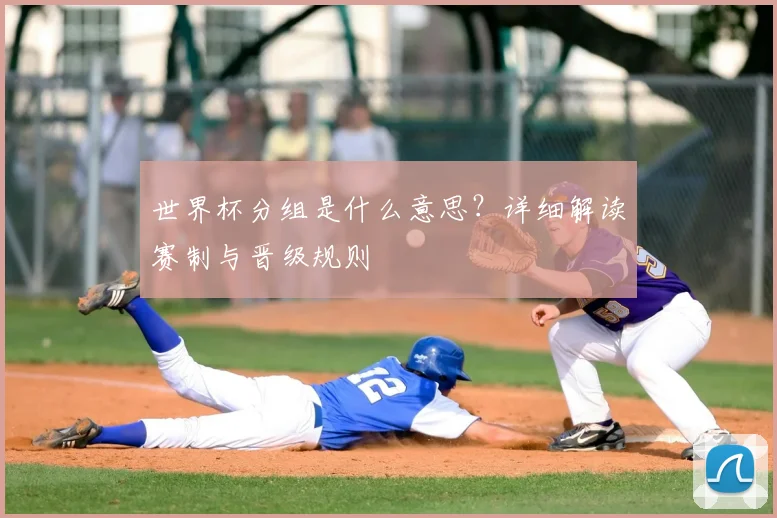 世界杯分组是什么意思?详细解读赛制与晋级规则