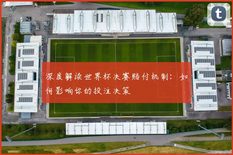 深度解读世界杯决赛赔付机制：如何影响你的投注决策