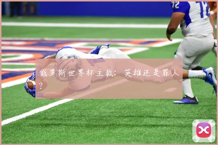 俄罗斯世界杯主裁:英雄还是罪人?