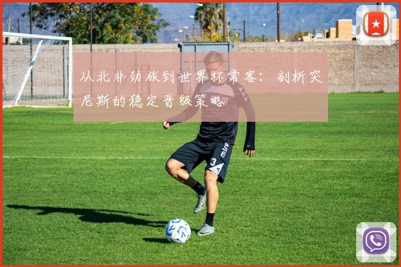 从北非劲旅到世界杯常客：剖析突尼斯的稳定晋级策略