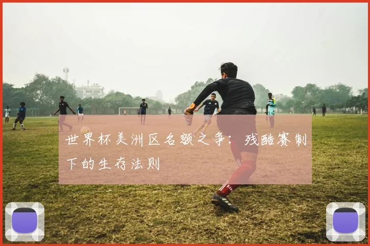 世界杯美洲区名额之争：残酷赛制下的生存法则
