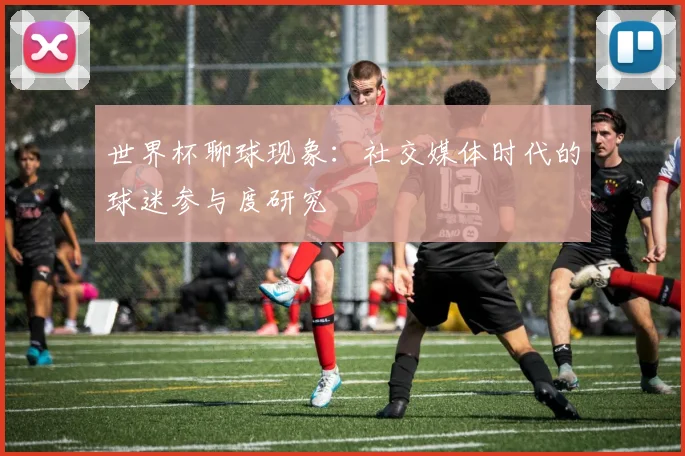世界杯聊球现象：社交媒体时代的球迷参与度研究