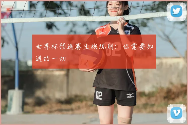 世界杯预选赛出线规则:你需要知道的一切